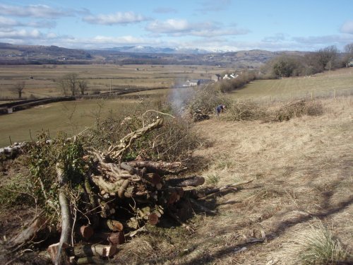 Bonfire at the end of hedge laying